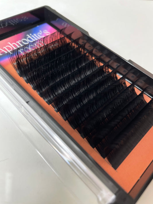 Aphrodite lash tray